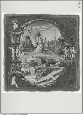 Vorderseite von bh561338_recto