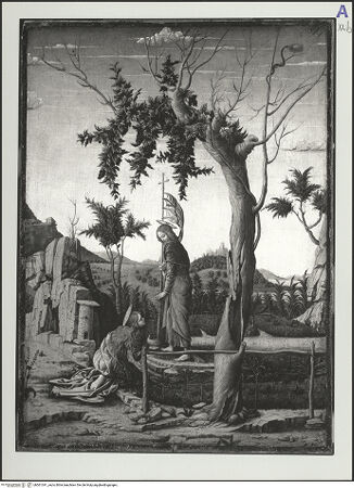 Vorderseite von bh561341_recto