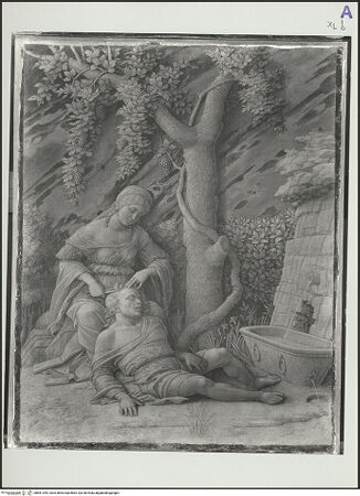 Vorderseite von bh561344_recto