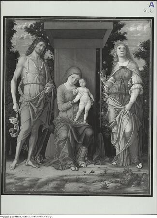 Vorderseite von bh561345_recto