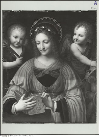 Vorderseite von bh561347_recto