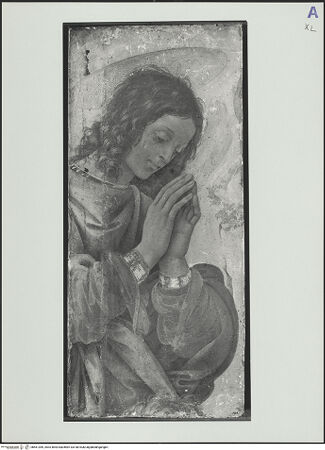 Vorderseite von bh561369_recto