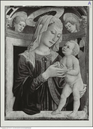 Vorderseite von bh561411_recto