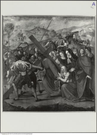 Vorderseite von bh561419_recto