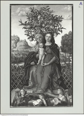 Vorderseite von bh561422_recto