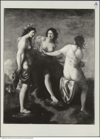 Vorderseite von bh561425_recto