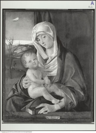 Vorderseite von bh561504_recto