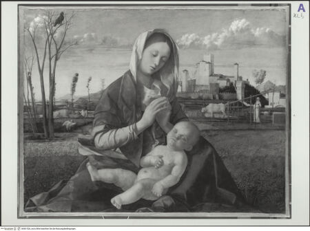 Vorderseite von bh561526_recto