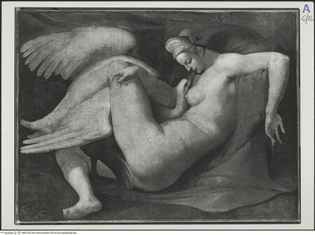 Vorderseite von bh561532_recto