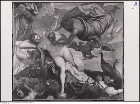 Vorderseite von bh561609_recto