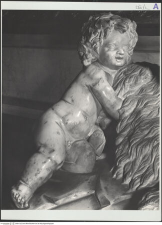 Vorderseite von bh561725_recto