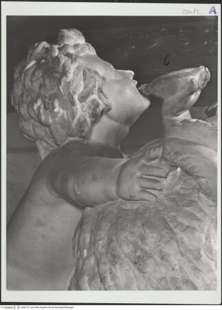 Vorderseite von bh561727_recto