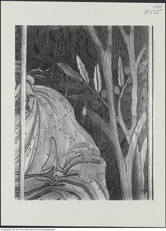 Vorderseite von bh561769_recto