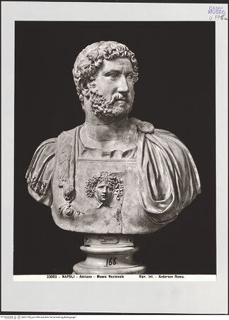 Vorderseite von Alinari [https://www.deutsche-digitale-bibliothek.de/content/lizenzen/rv-ez/] Büste des Hadrian - Gesamtansicht, bh561783_recto. Foto.
