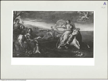 Vorderseite von bh562036_recto