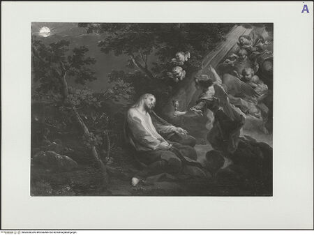 Vorderseite von bh562038_recto