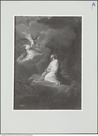 Vorderseite von bh562039_recto