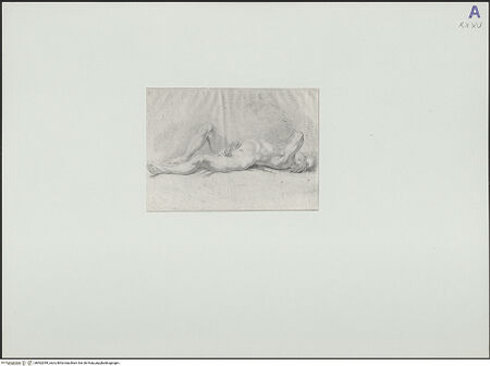 Vorderseite von bh562049_recto