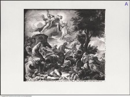 Vorderseite von bh562053_recto