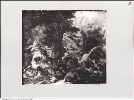 Vorderseite von bh562054_recto