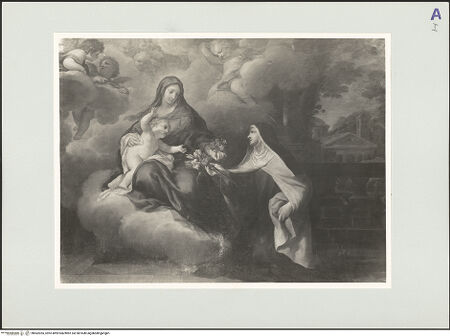 Vorderseite von bh562055_recto