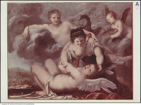 Vorderseite von bh562066_recto