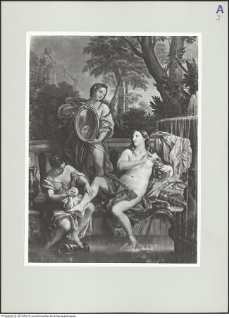 Vorderseite von bh562142_recto