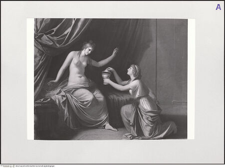 Vorderseite von bh562144_recto