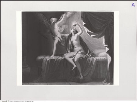 Vorderseite von bh562145_recto