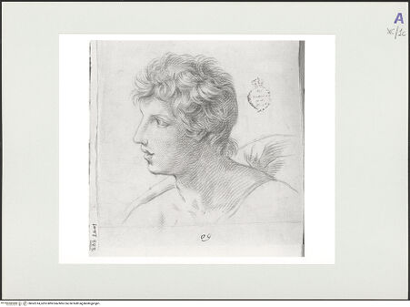 Vorderseite von bh562314_recto