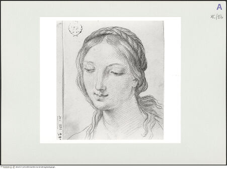 Vorderseite von bh562317_recto