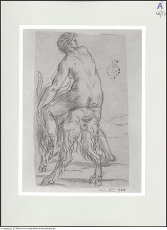 Vorderseite von bh562329_recto