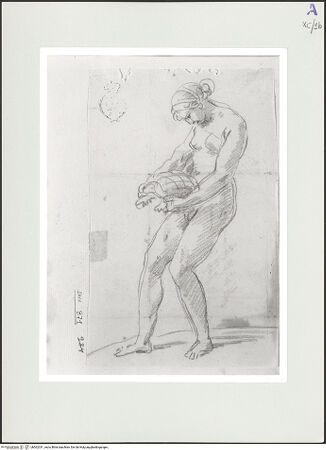 Vorderseite von bh562331_recto