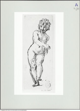 Vorderseite von bh562335_recto