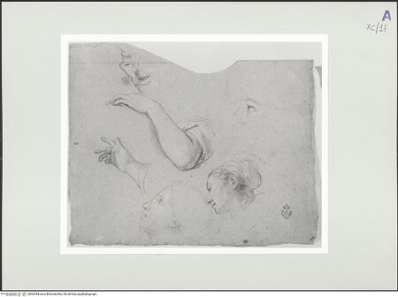 Vorderseite von bh562384_recto