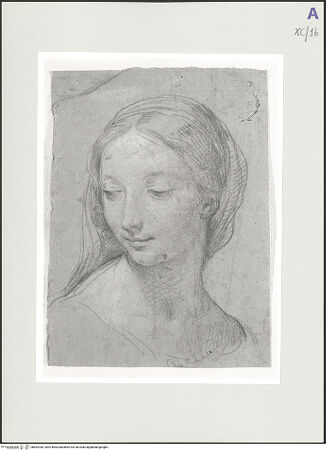 Vorderseite von bh562390_recto