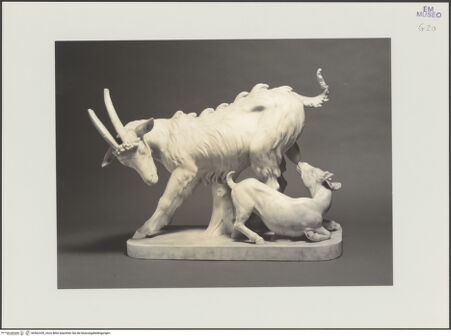 Vorderseite von bh562439_recto