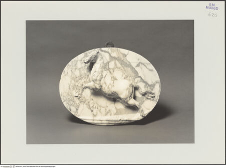 Vorderseite von bh562441_recto