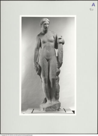 Vorderseite von bh562532_recto