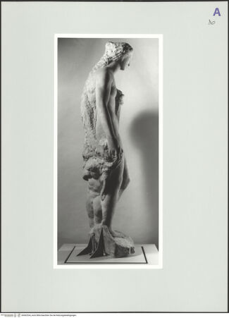 Vorderseite von bh562534_recto