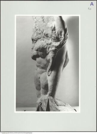 Vorderseite von bh562536_recto