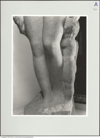 Vorderseite von bh562537_recto