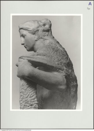 Vorderseite von bh562539_recto