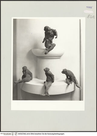 Vorderseite von bh562548_recto