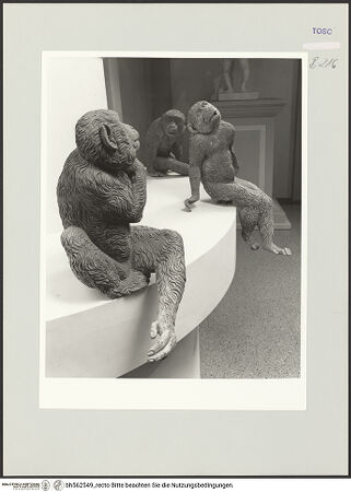 Vorderseite von bh562549_recto