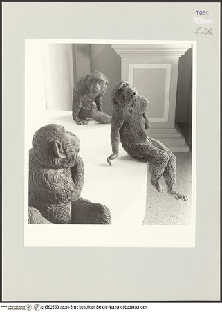 Vorderseite von bh562550_recto