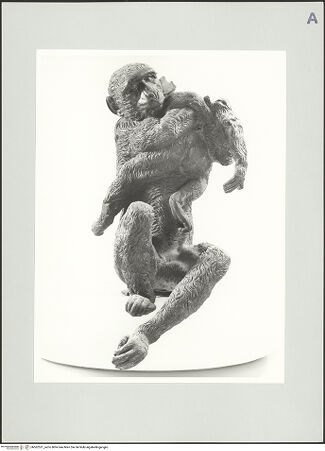 Vorderseite von bh562551_recto