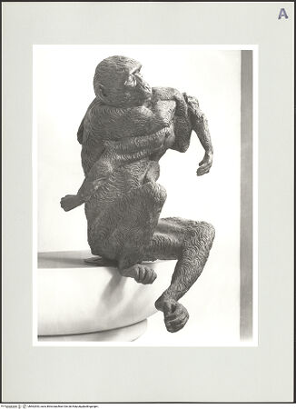 Vorderseite von bh562553_recto