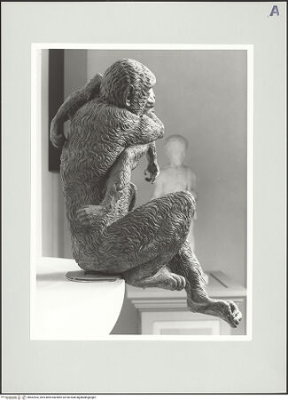 Vorderseite von bh562554_recto