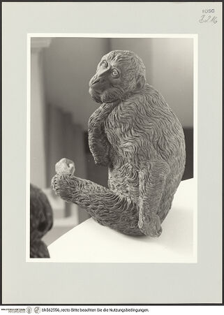 Vorderseite von bh562556_recto